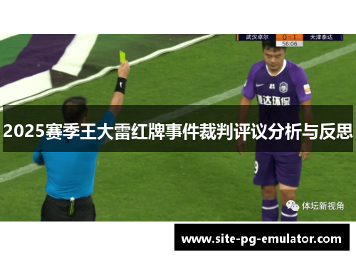 2025赛季王大雷红牌事件裁判评议分析与反思