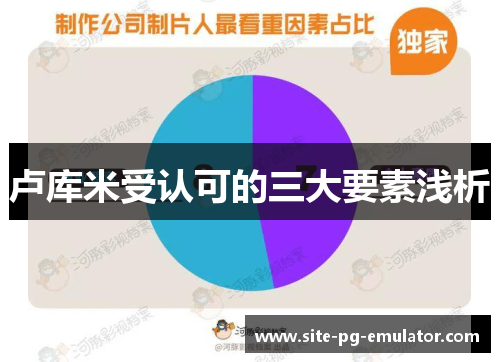 卢库米受认可的三大要素浅析