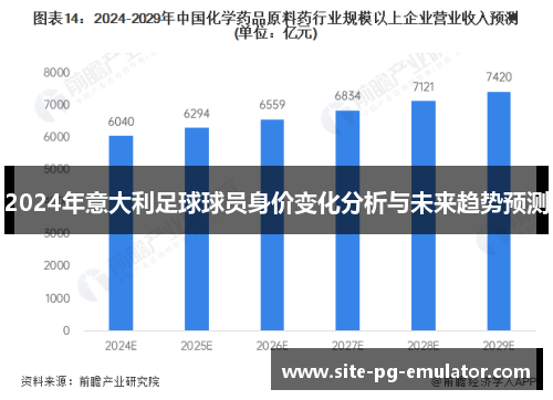 2024年意大利足球球员身价变化分析与未来趋势预测 2024年意大利足球球员身价变化分析与未来趋势预测