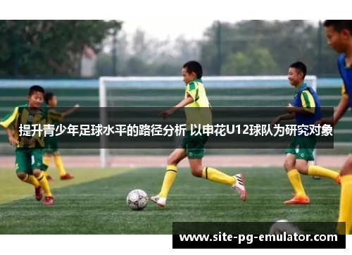 提升青少年足球水平的路径分析 以申花U12球队为研究对象 提升青少年足球水平的路径分析 以申花U12球队为研究对象