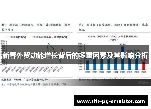新春外贸动能增长背后的多重因素及其影响分析 新春外贸动能增长背后的多重因素及其影响分析