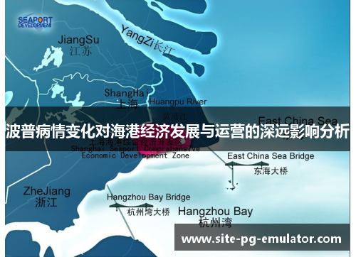 波普病情变化对海港经济发展与运营的深远影响分析 波普病情变化对海港经济发展与运营的深远影响分析