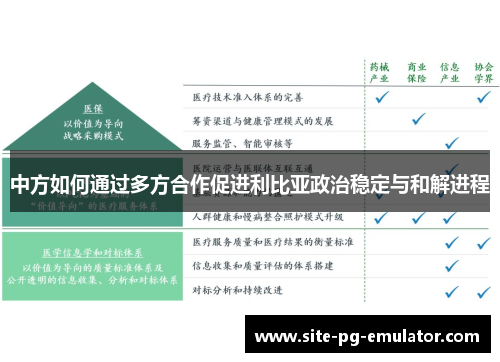 中方如何通过多方合作促进利比亚政治稳定与和解进程 中方如何通过多方合作促进利比亚政治稳定与和解进程