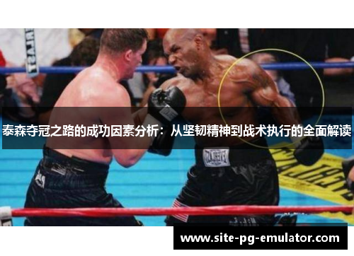 泰森夺冠之路的成功因素分析：从坚韧精神到战术执行的全面解读