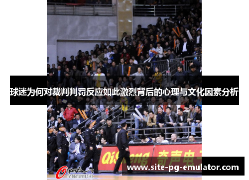 球迷为何对裁判判罚反应如此激烈背后的心理与文化因素分析