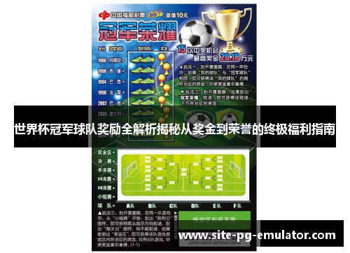 世界杯冠军球队奖励全解析揭秘从奖金到荣誉的终极福利指南