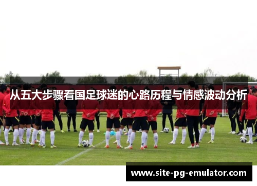 从五大步骤看国足球迷的心路历程与情感波动分析