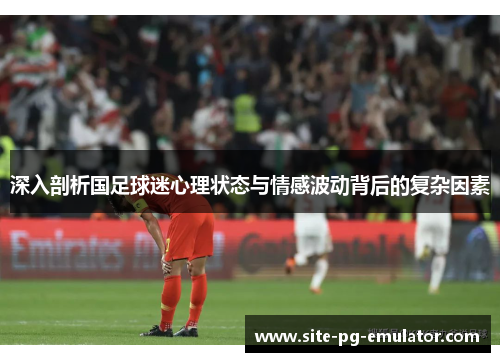 深入剖析国足球迷心理状态与情感波动背后的复杂因素