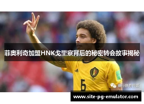 菲奥利奇加盟HNK戈里察背后的秘密转会故事揭秘 菲奥利奇加盟HNK戈里察背后的秘密转会故事揭秘