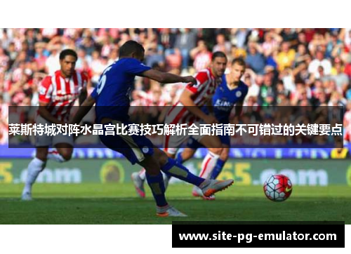 莱斯特城对阵水晶宫比赛技巧解析全面指南不可错过的关键要点 莱斯特城对阵水晶宫比赛技巧解析全面指南不可错过的关键要点