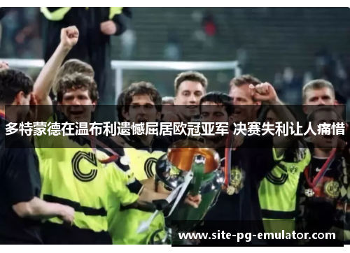 多特蒙德在温布利遗憾屈居欧冠亚军 决赛失利让人痛惜