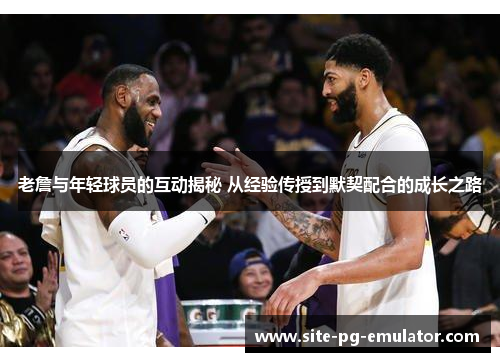 老詹与年轻球员的互动揭秘 从经验传授到默契配合的成长之路 老詹与年轻球员的互动揭秘 从经验传授到默契配合的成长之路