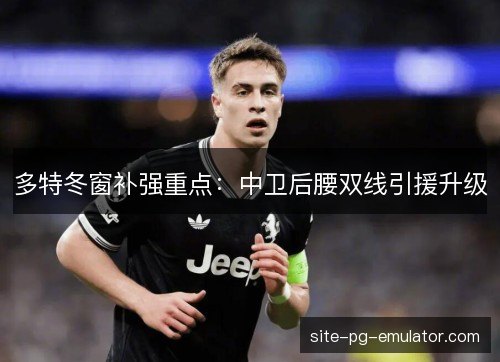 多特冬窗补强重点：中卫后腰双线引援升级